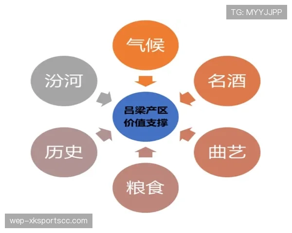 杜埃只会盘带？进攻参与度与终结效率解析